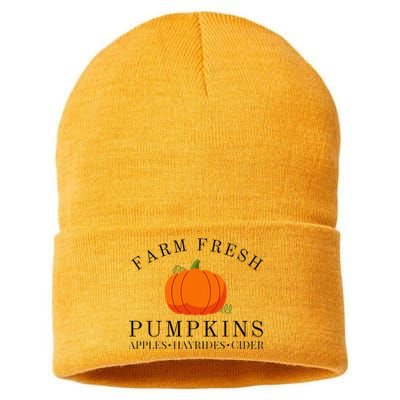 Farm Fresh Pumpkins Apples Hayrides Cider Thanksgiving Fall Sustainable Knit Beanie