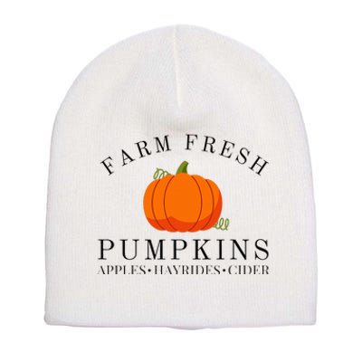 Farm Fresh Pumpkins Apples Hayrides Cider Thanksgiving Fall Short Acrylic Beanie