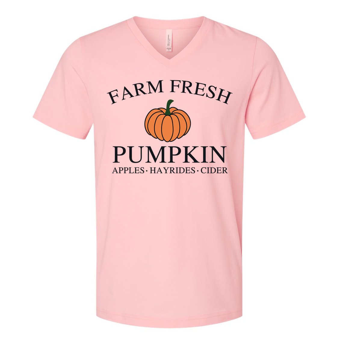 Farm Fresh Pumpkin V-Neck T-Shirt
