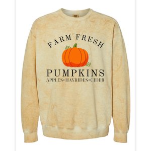 Farm Fresh Pumpkins Apples Hayrides Cider Thanksgiving Fall Colorblast Crewneck Sweatshirt