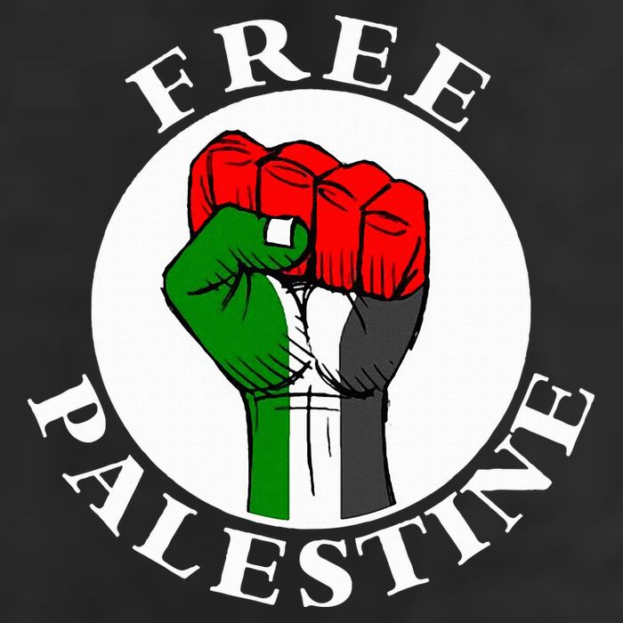 freepalestine free palestine 11oz C Handle Ceramic Mug