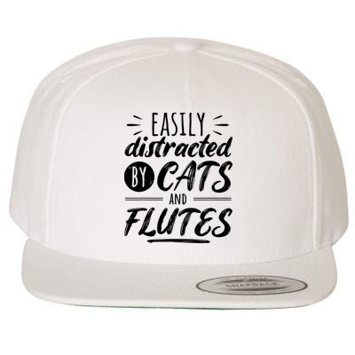 Funny Flute Player Saying Cat Owner I Cats And Flutes Wool Snapback Cap