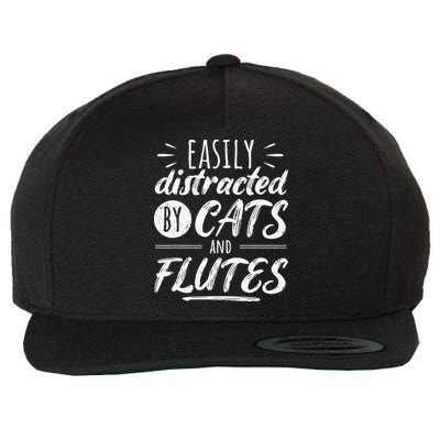 Funny Flute Player Saying Cat Owner I Cats And Flutes Wool Snapback Cap