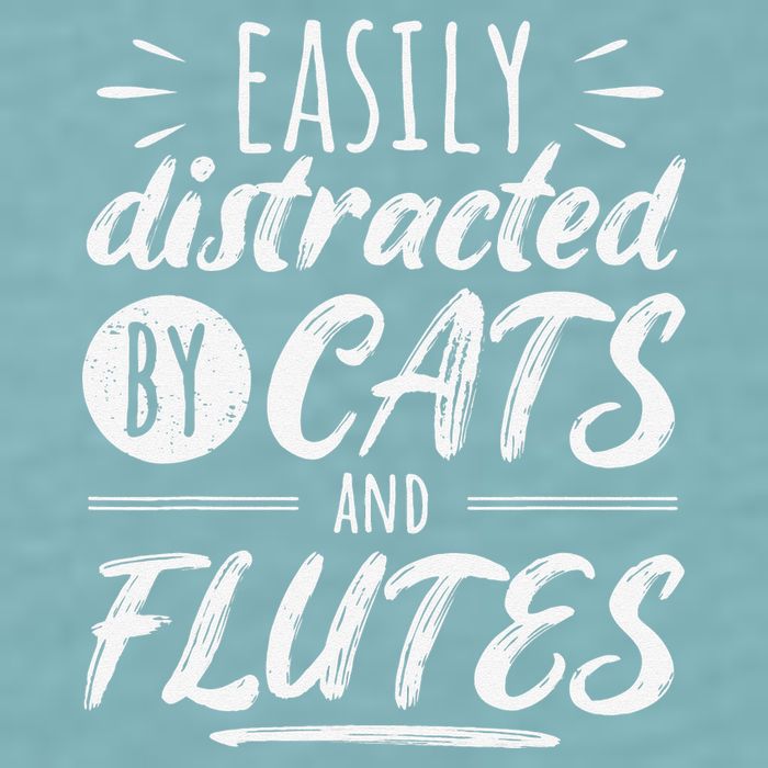 Funny Flute Player Saying Cat Owner I Cats And Flutes Sueded Cloud Jersey T-Shirt