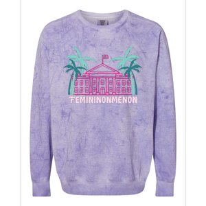 Femininonmenon Funny Presidential Election Colorblast Crewneck Sweatshirt