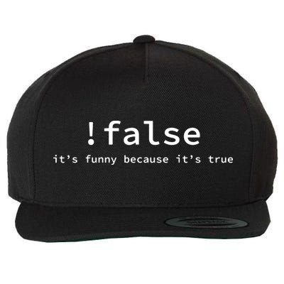 Funny False Programming Coding Short Sleeve For Programmers Wool Snapback Cap