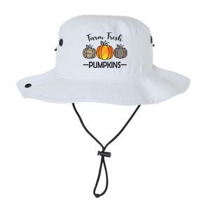 Farm Fresh Pumpkins Legacy Cool Fit Booney Bucket Hat