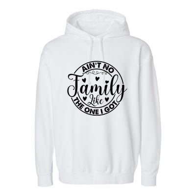 Funny Family Reunion Quotes For Family Appreciation Gift Garment-Dyed Fleece Hoodie