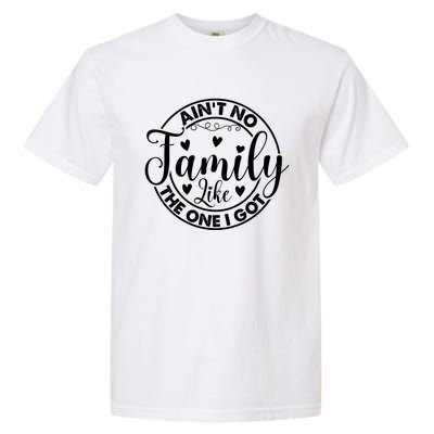 Funny Family Reunion Quotes For Family Appreciation Gift Garment-Dyed Heavyweight T-Shirt