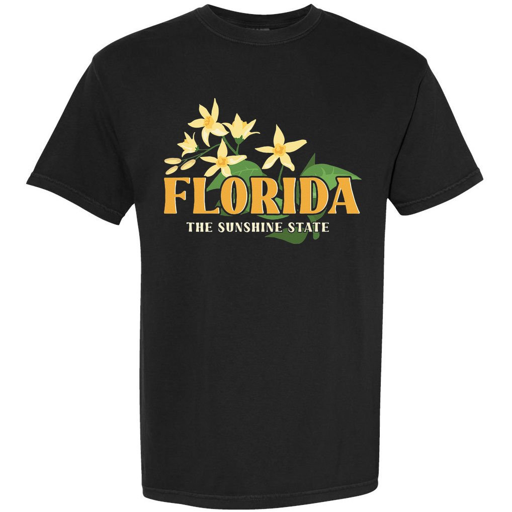 Florida FL Sunshine State Comfort Colors T-Shirt