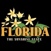 Florida FL Sunshine State 16 in Basic Backpack