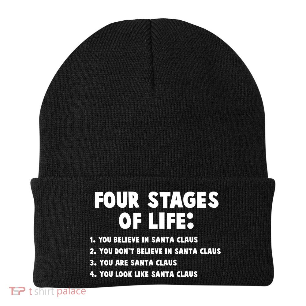 Funny Four Stages Of Life Beanie