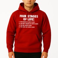 Funny Four Stages Of Life Hoodie