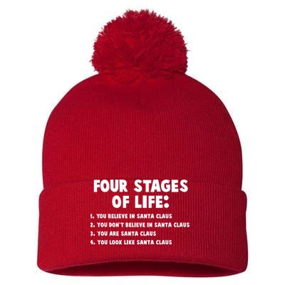 Funny Four Stages Of Life Pom Pom 12in Knit Beanie