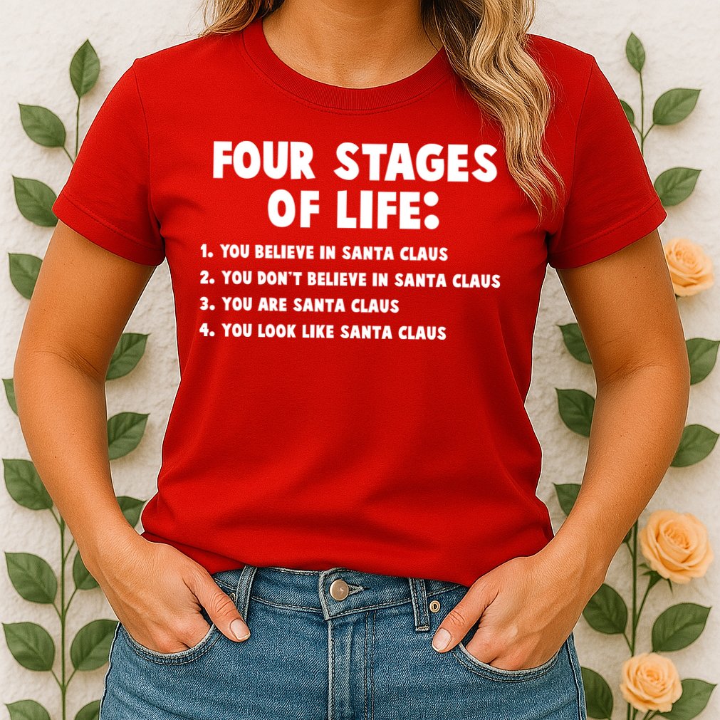 Funny Four Stages Of Life Womens T-Shirt