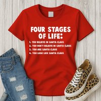 Funny Four Stages Of Life Womens T-Shirt