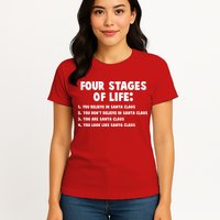 Funny Four Stages Of Life Womens T-Shirt
