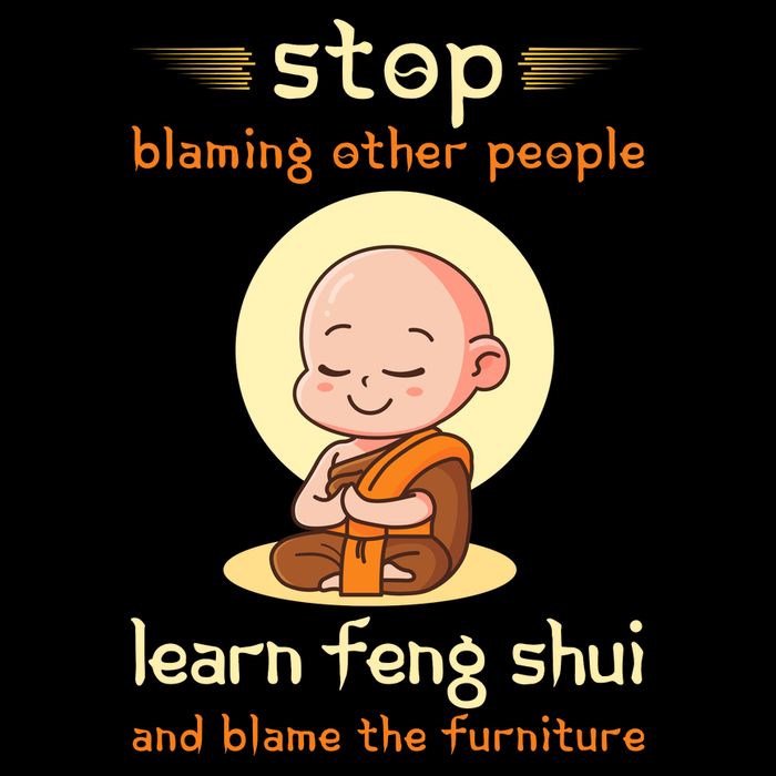 Funny Feng Shui Sarcastic New Age T-Shirt