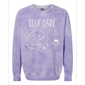 Funny Frog Self Care Yoga Colorblast Crewneck Sweatshirt