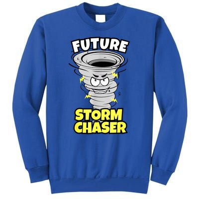 Funny Future Storm Gift For Chaser Meteorologist Tall Sweatshirt