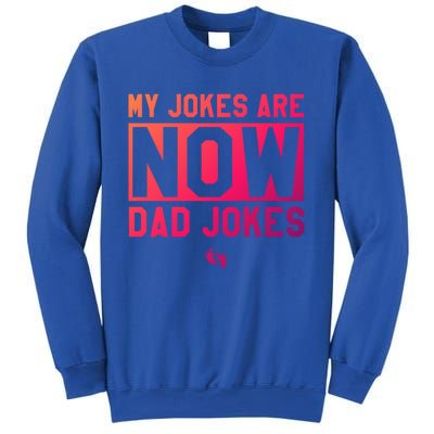 Funny First Time Dad Funny Gift New Father Dad Jokes Gift Sweatshirt