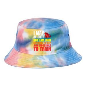 Funny Fantasy Tabletop RPG Gamer Graphic Tie Dye Newport Bucket Hat