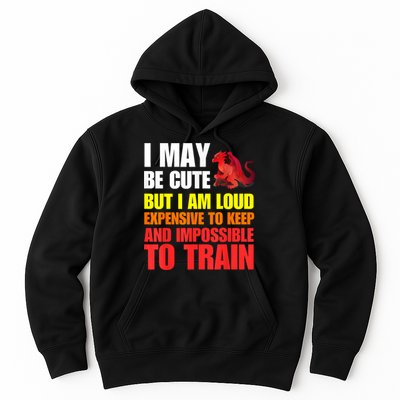 Funny Fantasy Tabletop RPG Gamer Graphic Hoodie