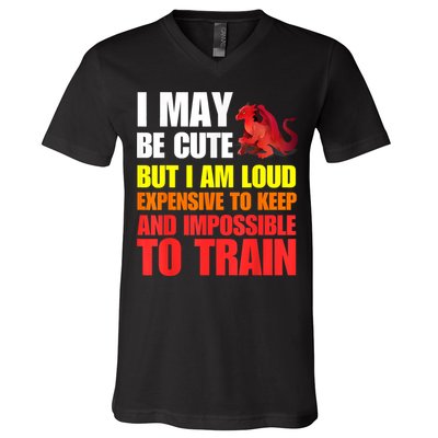 Funny Fantasy Tabletop RPG Gamer Graphic V-Neck T-Shirt