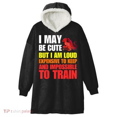 Funny Fantasy Tabletop RPG Gamer Graphic Hooded Wearable Blanket