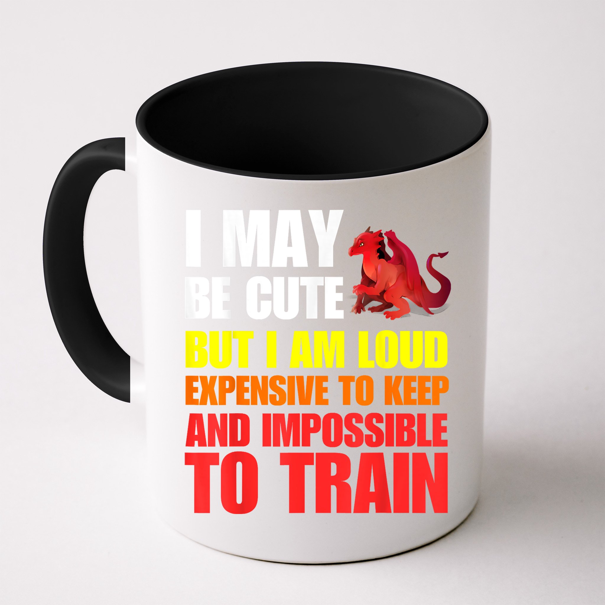 Funny Fantasy Tabletop RPG Gamer Graphic Mug