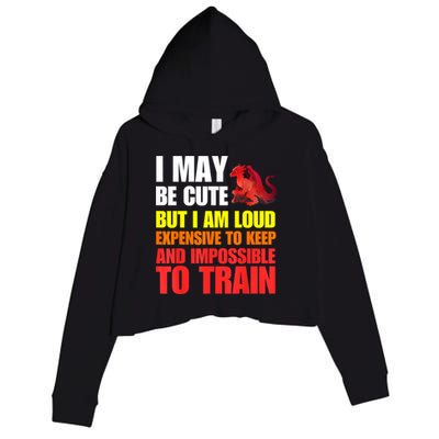 Funny Fantasy Tabletop RPG Gamer Graphic Crop Fleece Hoodie