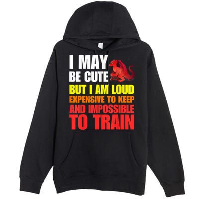 Funny Fantasy Tabletop RPG Gamer Graphic Premium Pullover Hoodie