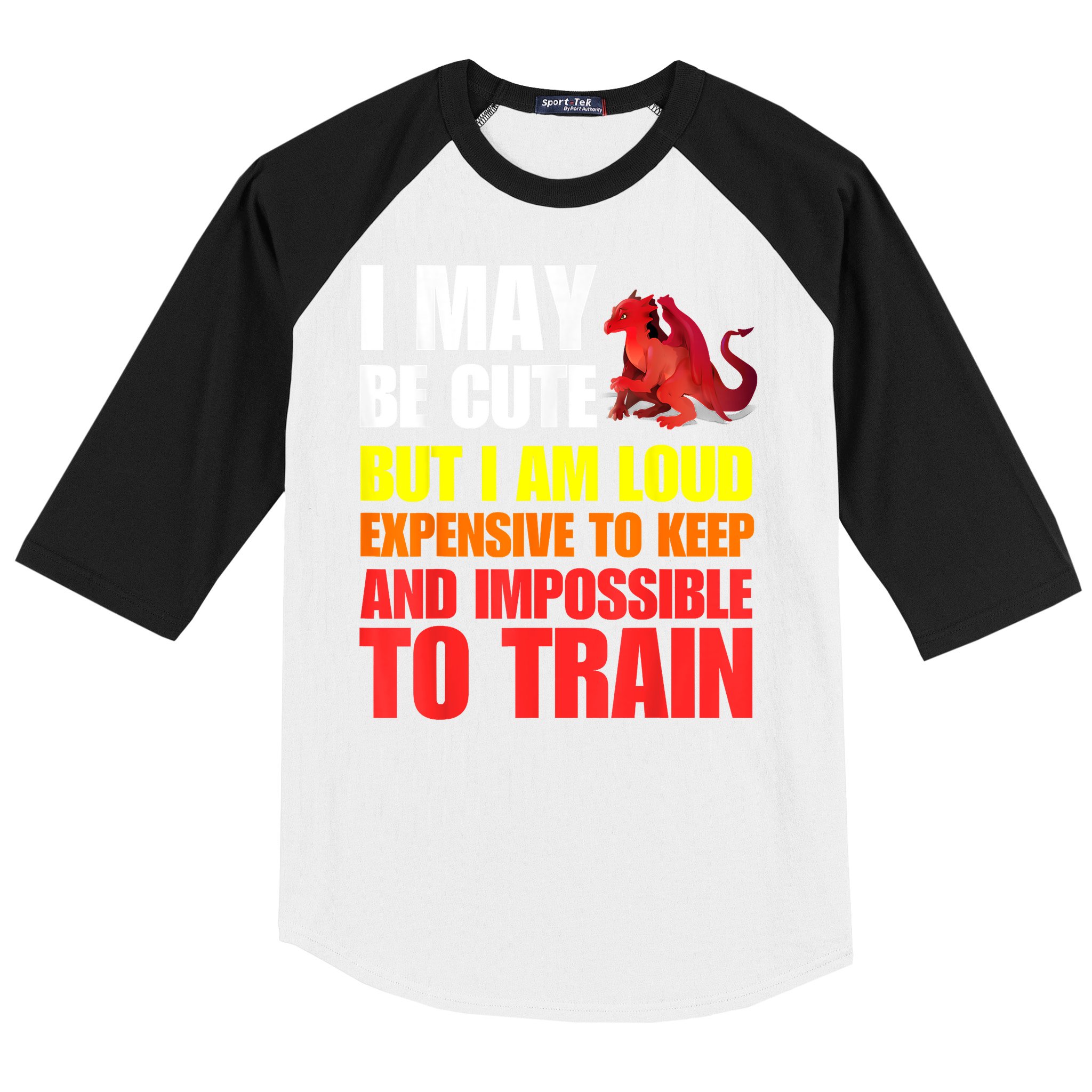 Funny Fantasy Tabletop RPG Gamer Graphic Baseball Sleeve Shirt
