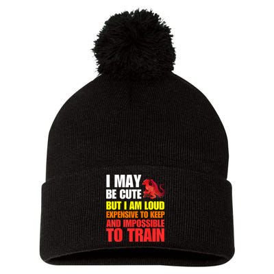 Funny Fantasy Tabletop RPG Gamer Graphic Pom Pom 12in Knit Beanie