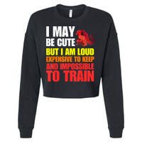 Funny Fantasy Tabletop RPG Gamer Graphic Cropped Pullover Crew