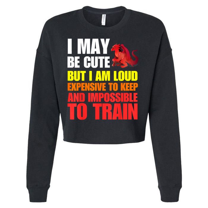 Funny Fantasy Tabletop RPG Gamer Graphic Cropped Pullover Crew