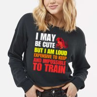 Funny Fantasy Tabletop RPG Gamer Graphic Cropped Pullover Crew