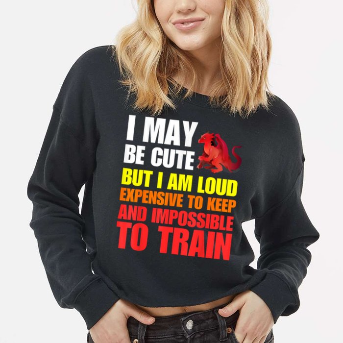 Funny Fantasy Tabletop RPG Gamer Graphic Cropped Pullover Crew