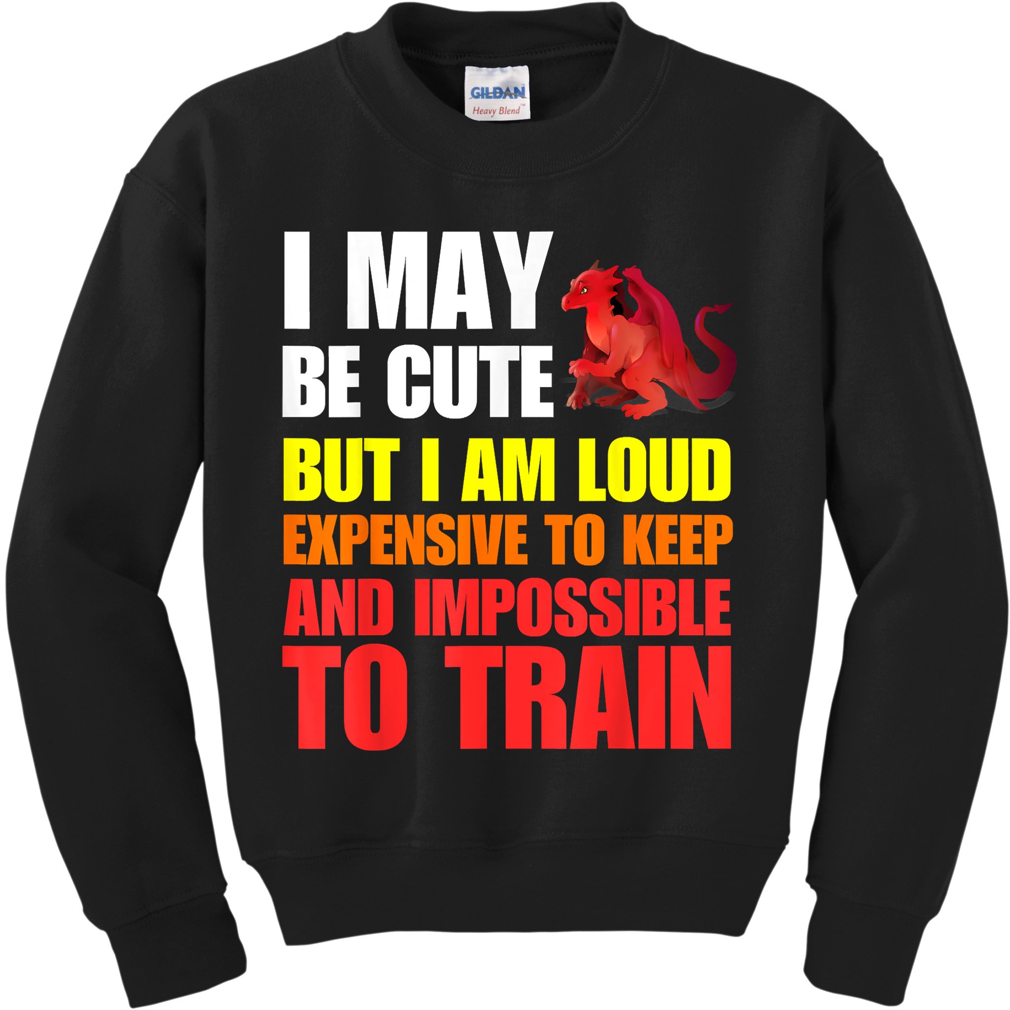Funny Fantasy Tabletop RPG Gamer Graphic Kids Sweatshirt