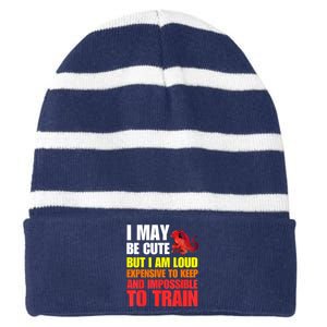 Funny Fantasy Tabletop RPG Gamer Graphic Striped Beanie with Solid Band