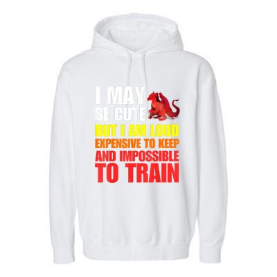 Funny Fantasy Tabletop RPG Gamer Graphic Garment-Dyed Fleece Hoodie