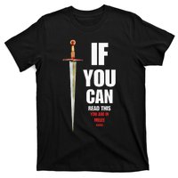 Funny Fantasy Tabletop RPG Gamer & Womens Graphic T-Shirt