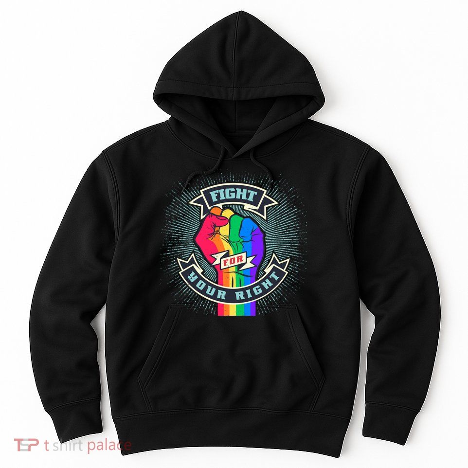 Fight For Your Right LGBT Pride Hoodie