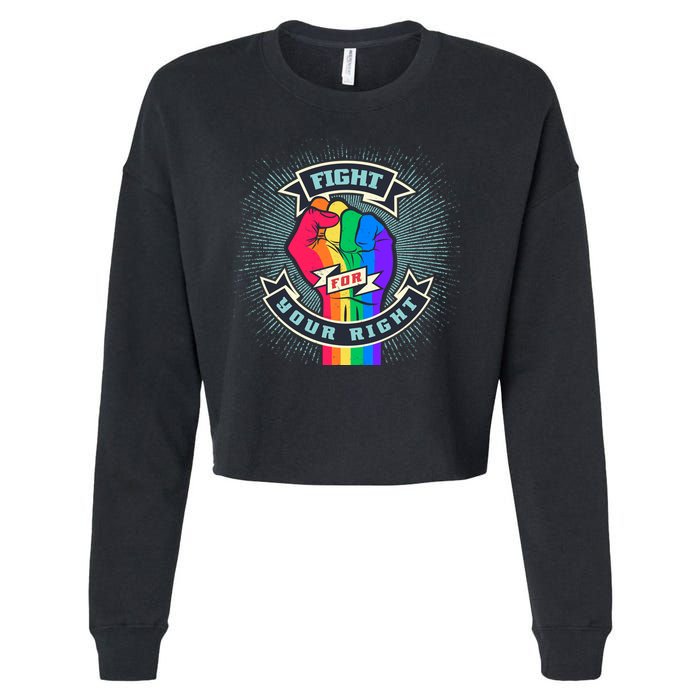 Fight For Your Right LGBT Pride Cropped Pullover Crew