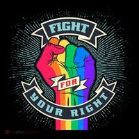 Fight For Your Right LGBT Pride Wool Snapback Cap