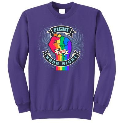 Fight For Your Right LGBT Pride Sweatshirt