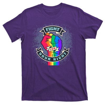 Fight For Your Right LGBT Pride T-Shirt