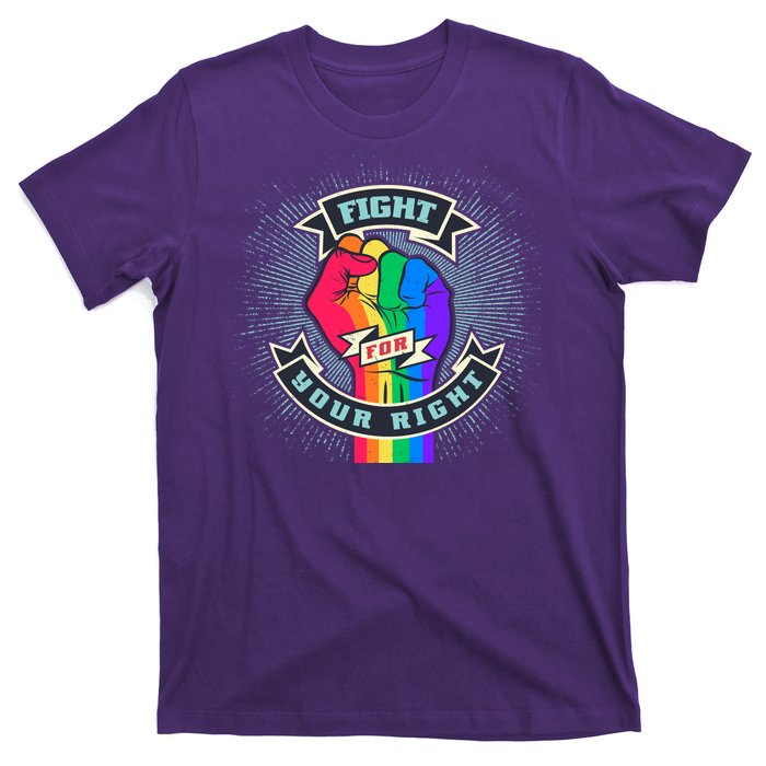 Fight For Your Right LGBT Pride T-Shirt