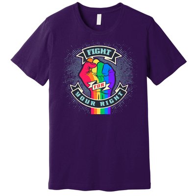 Fight For Your Right LGBT Pride Premium T-Shirt