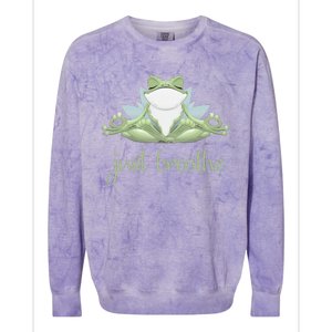 Funny Frog Yoga Meditation Tee Pilates Yoga Animals Lover Colorblast Crewneck Sweatshirt